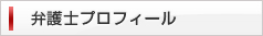 弁護士プロフィール